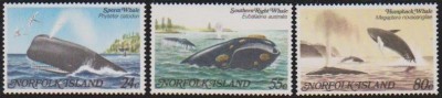 NORFOLK - 1982 - BALENE foto