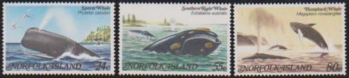 NORFOLK - 1982 - BALENE