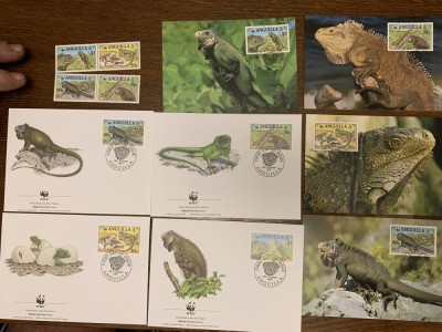 anguila - reptile - iguana - serie 4 timbre MNH, 4 FDC, 4 maxime, fauna wwf foto