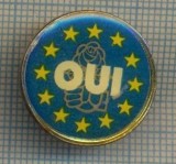 Y 91 INSIGNA - OUI -SIMBOL UN TRANDAFIR IN MANA+STELUTELE UE-PENTRU COLECTIONARI