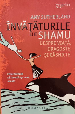 Invataturile lui Shamu despre viata, dragoste si casnicie foto