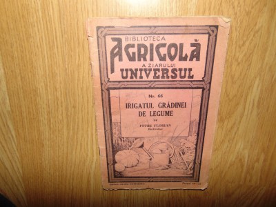 Irigatul gradinei de legume -Petre Florian anul 1937 foto