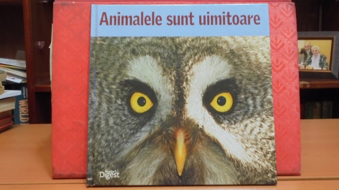 ANIMALELE SUNT UIMITOARE -PREZENTARE ANIMALE DIN DIFERITE ZONE GEOGRAFICE, POZE