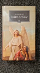 INGERUL A STRIGAT - Fanus Neagu (Biblioteca Adevarul)
