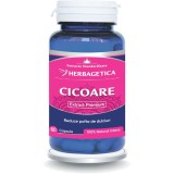 Cicoare Extract 60cps