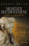 Meditatii Beethoveniene. Lupta cu singuratatea &ndash; George Balan