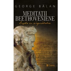 Meditatii Beethoveniene. Lupta cu singuratatea &ndash; George Balan