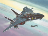 F-14A Black Tomcat, Revell