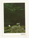 FA45-Carte Postala- IRLANDA - Peisaj, necirculata