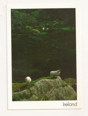 FA45-Carte Postala- IRLANDA - Peisaj, necirculata foto