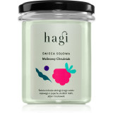 Hagi Raspberry Custard lum&acirc;nare parfumată 215 ml