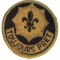 5.491 USA SUA ECUSON MILITAR PATCH EMBLEMA TOUJOURS PRET US 2ND ACR