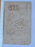 Cumpara ieftin Fotografie de epocă &ndash; Bacău cca. 1880 &ndash; Atelier J. Ambre &ndash; portret damă