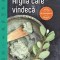 Argila care vindeca &ndash; Raymond Dextreit