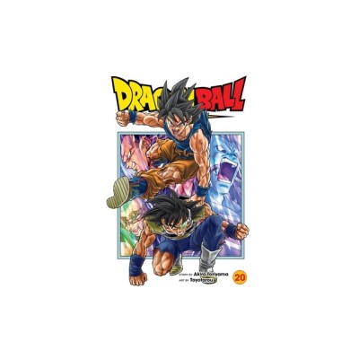 Dragon Ball Super, Vol. 20 foto