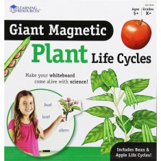 Ciclul vietii plantei - set magnetic foto