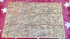 E652-I-Harta veche mare TIMISOARA si judetul TIMIS anii 1920-30 pe panza.