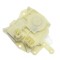 Broasca usa spate Honda Accord 1998-2002 4 Usi, Civic 2001-2005, 3 Usi, 4 Usi, Dreapta, NTY EZC-HD-003