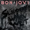 Bon Jovi Slippery When Wet reissue remaster (cd)
