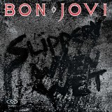 Bon Jovi Slippery When Wet reissue remaster (cd)