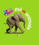 Cumpara ieftin Pui de animale/***