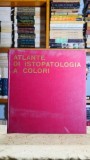 Atlante di istopatologia a colori - R. C. Curran