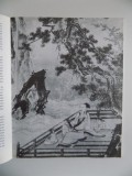 PICTURA JAPONEZA DIN PATRIMONIUL GALERIEI DE ARTA ORIENTALA de CARMEN BRAD , BUCURESTI 1994