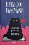 320 de pisici negre - Rodica Ojog-Brasoveanu (lipsa pagina de garda)