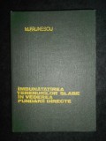 Marin Paunescu - Imbunatatirea terenurilor slabe in vederea fundarii directe