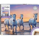 Crystal Creations: Wild Horses