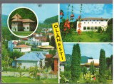 CPIB 15389 - CARTE POSTALA - OLANESTI, MOZAIC, Circulata, Fotografie