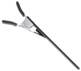 Cleste Plantat Mikado