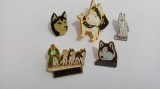 Lot 5 Insigne diferite -Caine/ Caini Husky-pinuri-1