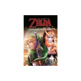 The Legend of Zelda: Twilight Princess, Vol. 11