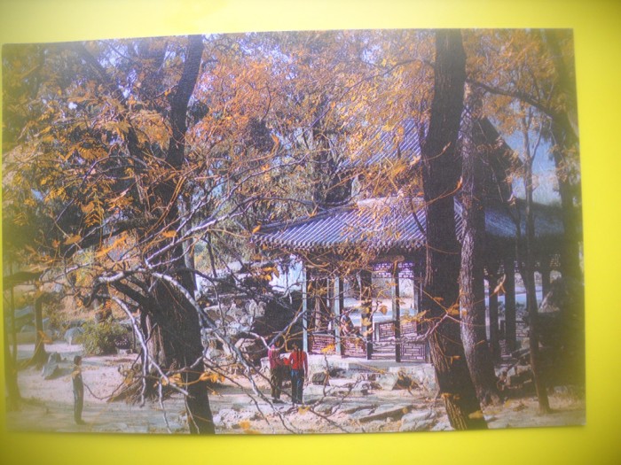 HOPCT 5691 TEMPLUL BUDA ADORMIT -CHINA -ASIA-NECIRCULATA