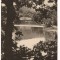 CPI B13803 CARTE POSTALA - SOVATA, LACUL URSU, RPR