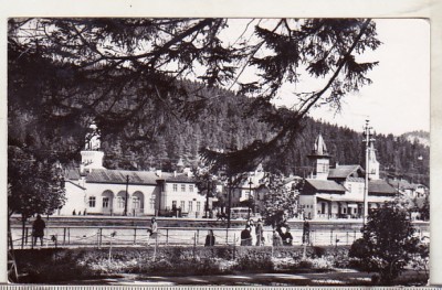 bnk cp Vatra Dornei - Vedere - circulata foto