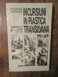 Incursiuni &icirc;n plastica Transilvană - Negoiță Lăptoiu