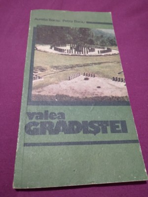 VALEA GRADISTEI AURELIA BACIU foto
