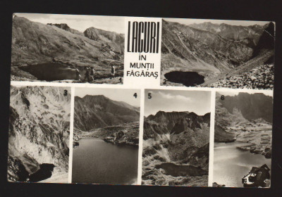 CPIB 19528 CARTE POSTALA - LACURI IN MUNTII FAGARAS foto