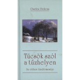 T&uuml;cs&ouml;k sz&oacute;l a tűzhelyen - Az otthon t&uuml;nd&eacute;rmes&eacute;je - Dickens