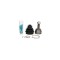 Cap planetara LANCIA YPSILON 843 CIFAM 607-449