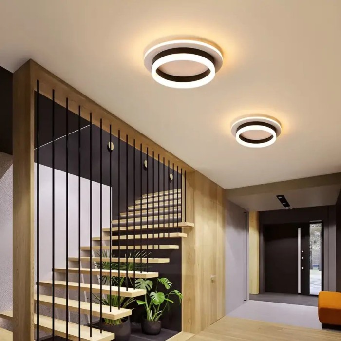 Lustra LED SOLENA ROTONDA, 13W, lumina Rece/Calda/Neutra, Alb Negru