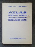 ATLAS DE ANATOMIA OMULUI. Sistemul nervos central - Ranga, Dimitriu