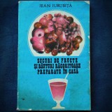 Cumpara ieftin SUCURI DE FRUCTE SI BAUTURI RACORITOARE PREPARATE IN CASA - JEAN JURUBITA