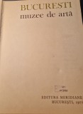 Bucuresti muzee de arta Corina Niculescu V. Dragut