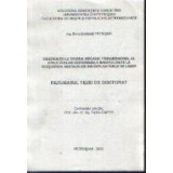 Contributii la studiul mecanic tridimensional al structurilor deformabile mari folosite la sustinerea abatajelor din explorarile de lignit - Rezumatul