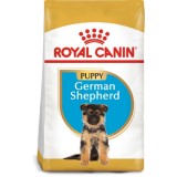 Royal Canin Ciobanesc German Junior, hrana uscata pentru caini, 12 kg