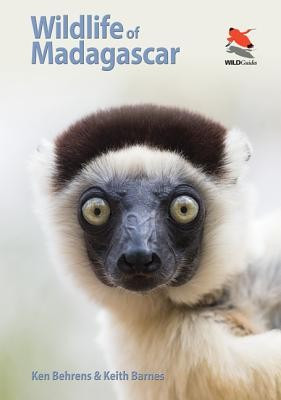 Wildlife of Madagascar foto
