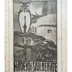 N. Dunareanu - Nadejdi spulberate (editia 1928)